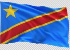 Journée internationale de la femme 2026 : la FOCDP appelle les femmes à s’engager pour la paix et la justice