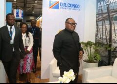 Les Gouvernements de la RDC et du Tchad d&rsquo;accord pour renforcer leurs secteurs du tourisme