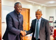 Interconnexion RDC–Tanzanie : la SNEL et TANESCO relancent le projet de ligne électrique de 400 kV