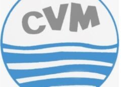 RDC/ Portefeuille : le remplacement de la DG de CVM en violation du principe de parallélisme des compétences.
