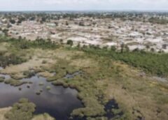 Muanda : le gouvernement monte au front pour sauver les mangroves menacées