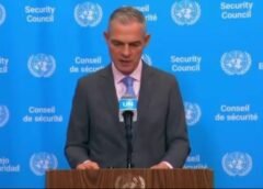 RDC : Le Conseil de sécurité de l’ONU salue des avancées dans le processus de désarmement des FDLR
