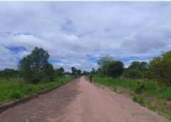 RDC – ÉCONOMIE & DÉVELOPPEMENT RURAL